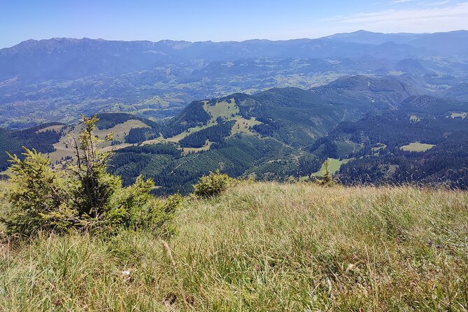 Hike the Highest Peak in Piatra Craiului Mountains (2238 M) - Traveler Requirements and Recommendations