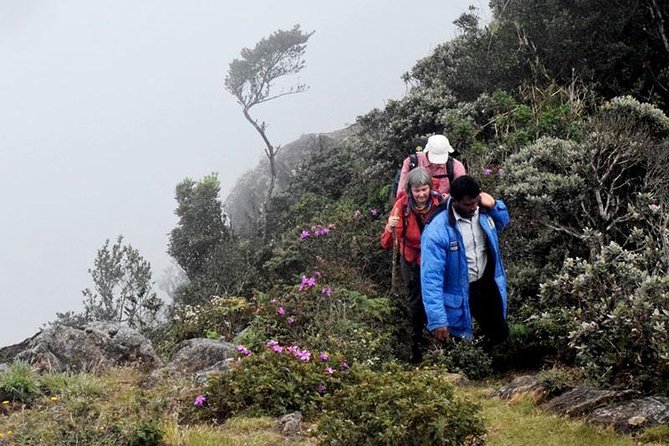 Hike to Kirigalpotta Mountain Via Horton Plains National Park - Pricing Information and Group Variations
