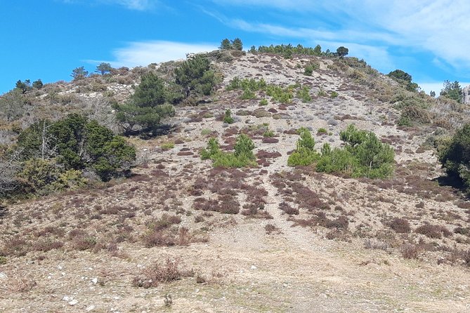 Hike to Perda Liana - Pitzu Margiani Pubusa - Cancellation Policy
