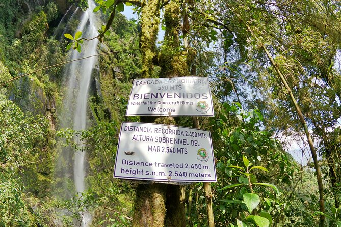 Hike to the Highest Waterfall in Colombia La Chorrera - Directions and Booking Information