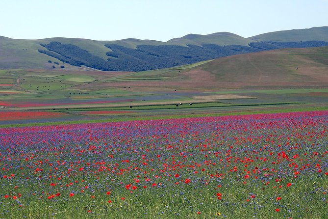 Hiking : Castelluccio Di Norcia & Lake Pilato - Umbria - Directions