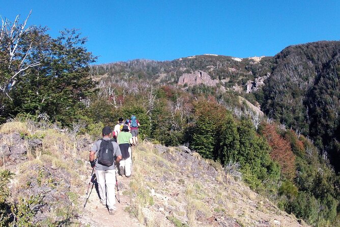 Hiking in Cerro Bella Vista - Full Day Tour in Private Service - The Sum Up