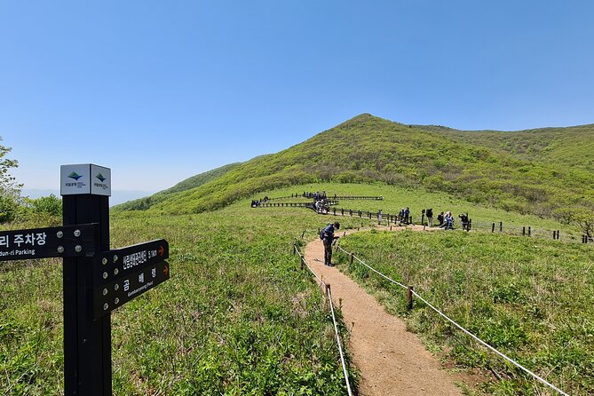 Hiking in Gombaeryeong Wildflowers of Seoraksan National Park - Insider Tips: Making the Most of Your Experience