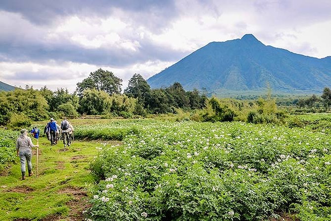 Hiking to Dian Fossey's Tomb in the Volcanoes National Park - Accessibility Notes