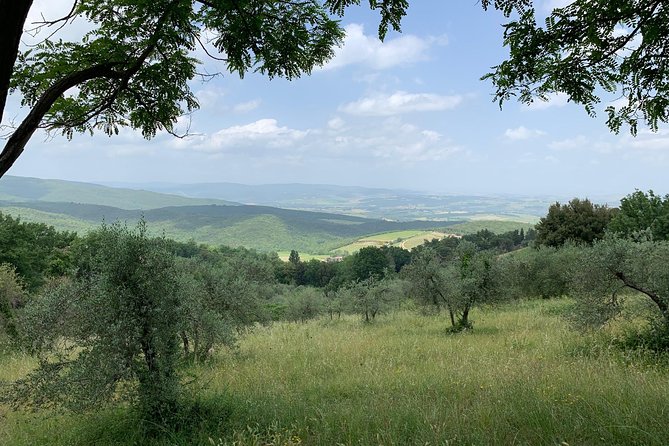 Hiking Tour Around Montalcino With Wine Tasting and Typical Lunch! - Meeting Point Details