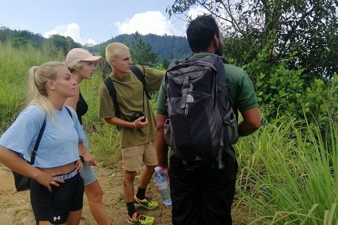 Hiking Tour to Hantana Mountain Range - Pickup Details