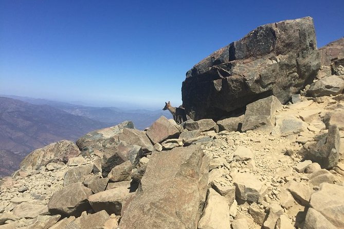 Hikking La Campana National Park From Valparaiso - Pickup Information