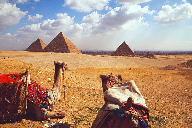 Historical Day Trip To Giza Pyramids And Grand Egyptian Museum - Lunch Experience