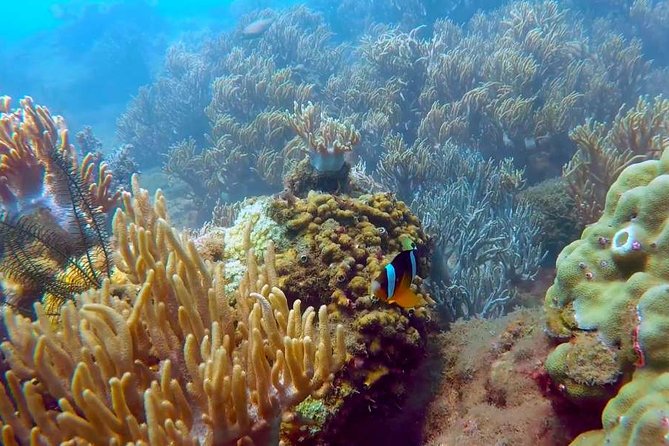 Hoi an Private 2-Day Tour With Snorkeling and Hotel - Cancellation Policy Details