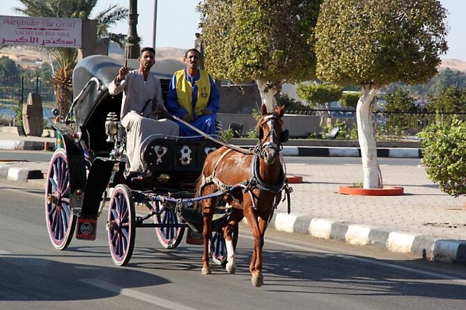 Horse Carriage in Aswan - Tour Details