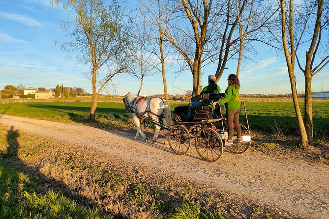 Horse Carriage Tour and Wine Tasting in Lazise - Booking Flexibility and Price