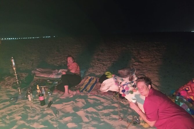 Horse Drawn Carriage 3 Hours With BBQ Dinner at the Desert, Transfer - Hurghada - Additional Information