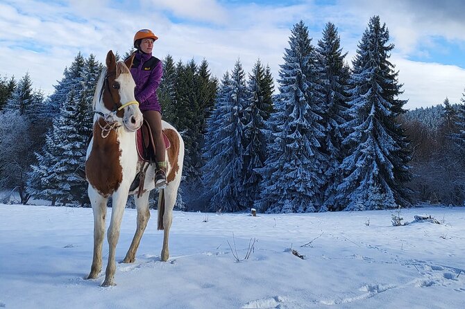 Horse Riding Experience From Borovets - Additional Information
