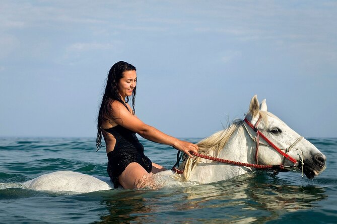 Horse Riding for 2 Hours on the Sea and Desert - Hurghada - Booking Information