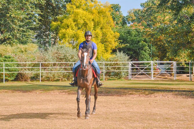 Horse Riding for Professionals From Sigiriya - Directions and Recommendations