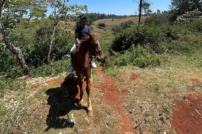 Horseback Experience at Karura Forest - Accessibility Features