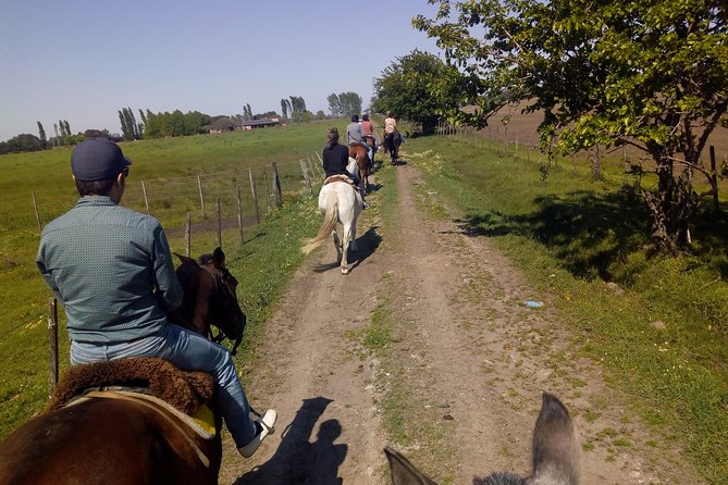 Horseback Riding and Countryside Day - Inclusions: Lunch, Guide, and Transfers