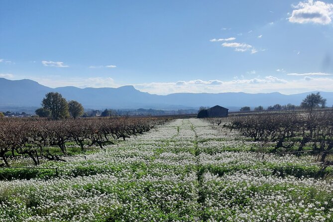 Horseback Riding in Sainte Victoire and Picnic With Wine Tasting - Transportation Details