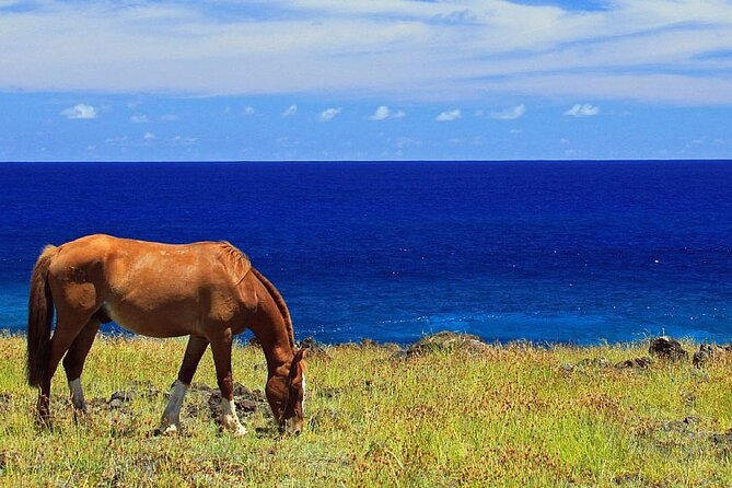 Horseback Riding on Easter Island - Inclusions and Exclusions