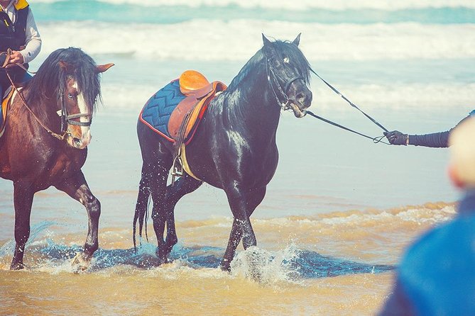 Horseback Riding: PLAYA BLANCA Advanced Riders - Tangier - 1 Hour - Booking Information Overview
