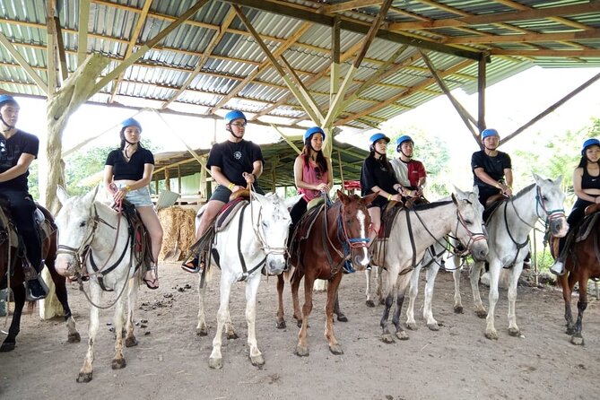 Horseback Riding to Arenal Volcano - The Sum Up