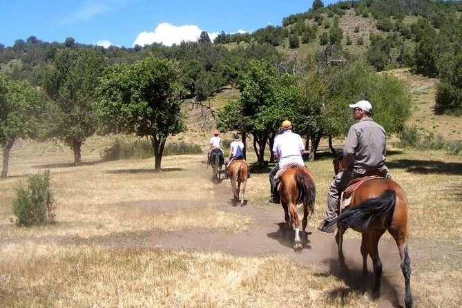 Horseback Riding Tour: Lanin National Park and Mapuche Culture - Frequently Asked Questions