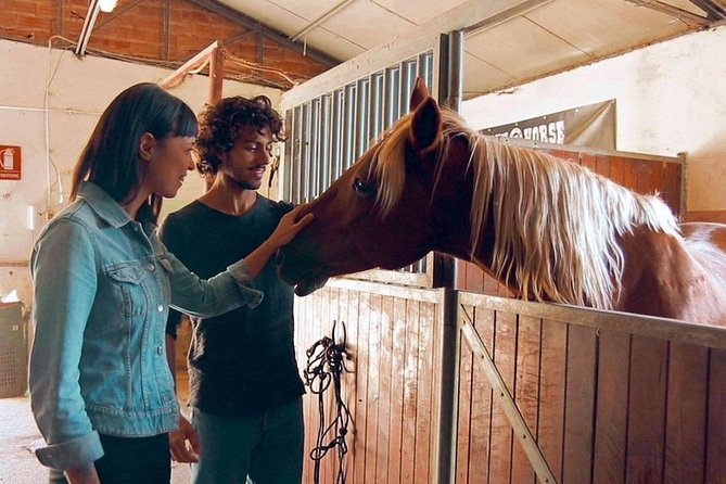 Horseback Ridings and Wine Tastings in a Winery of San Gimignano - Directions