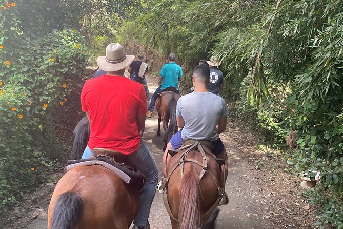 Horseback - Health Benefits of Horseback Riding