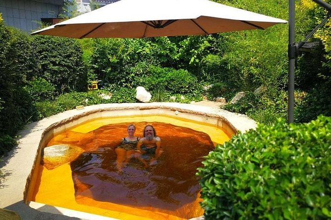 Hot Spring Bathing and Organic Dinner Afternoon Tour in Xian - Cancellation Policy