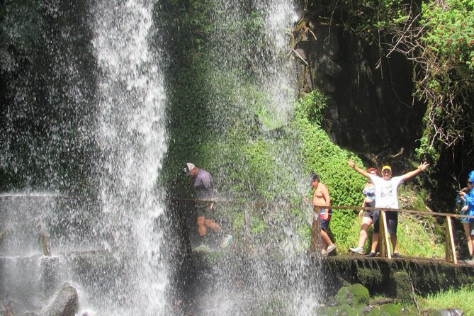 Huilo Huilo Biological Reserve From Valdivia With Lunch - Tour Details