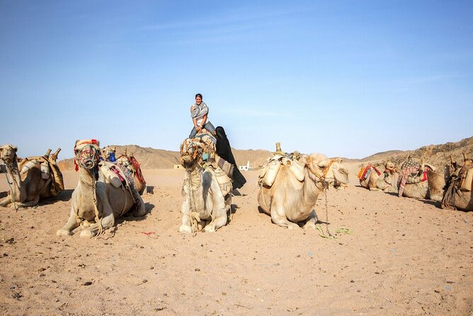 Hurghada Desert Safari By 4x4 Jeep ATV / Camel - Dinner - Cultural Entertainment Highlights