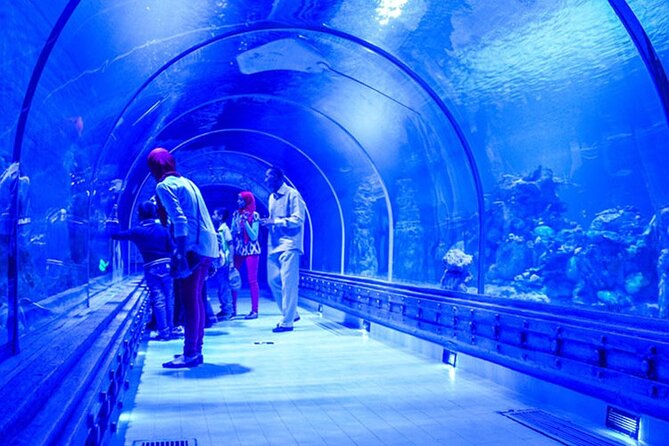 Hurghada Grand Aquarium Tour With Skip the Line Ticket - Pickup and Accessibility Options