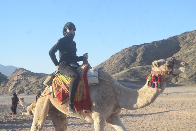 Hurghada Top Offer Morning Quad Bike Fun - Accessibility Information