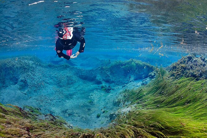Húsavík: Bubbling Sands Snorkeling Tour - Booking Details