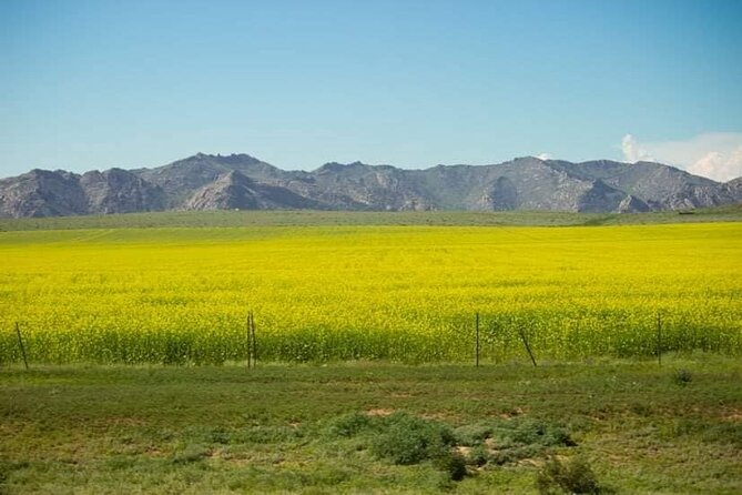Immersive Mongolian Gobi Experience, Camel, Cousine, Stargaze, 2D - Cancellation Policy