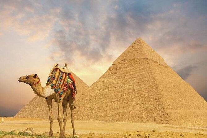 Indulge in a Magical Camel Ride at Pyramids at Sunrise or Sunset - Confirmation and Accessibility