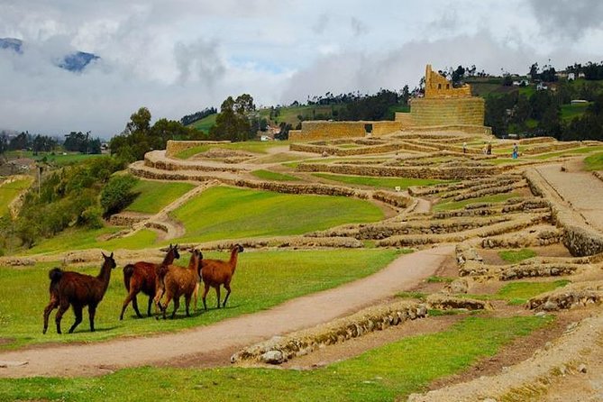 Ingapirca Ruins & Ancient Ecuador