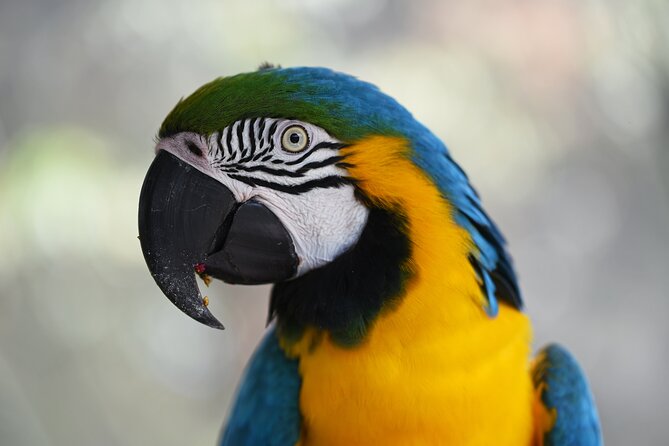 Iquitos Jungle Tour for 3 Days - Itinerary Overview