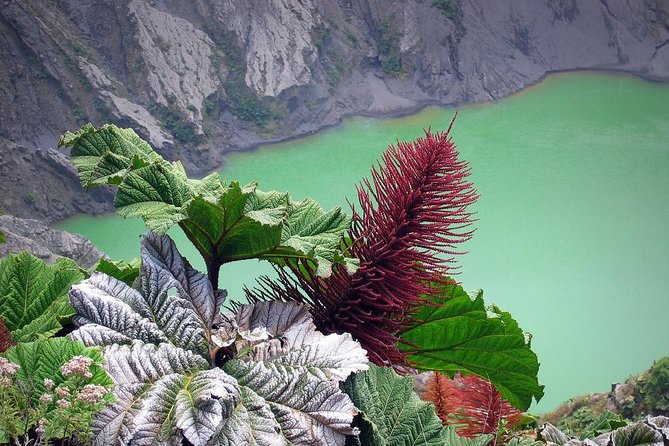 Irazu Volcano and Hacienda Orosi Hot Springs Full Day With Lunch - Hacienda Orosi Hot Springs