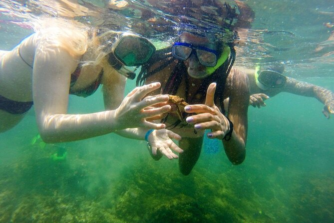 Isla Chora Kayak and Snorkel Activity - Participant Requirements