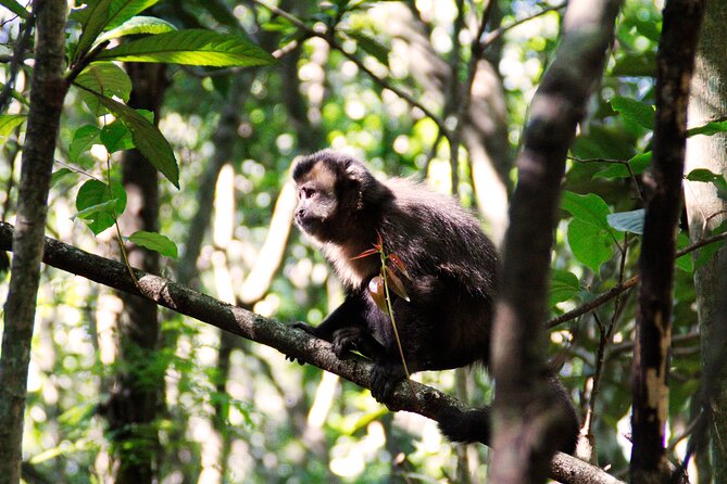 Itaipu Dam With Wild Animals Eco Retreat - Booking Information and Policies