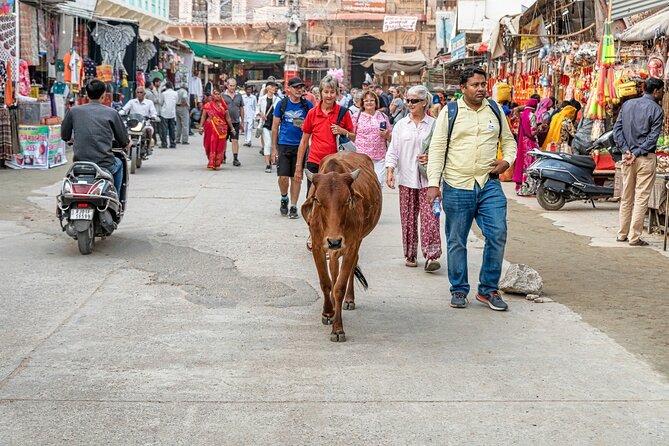 Jaipur Drop With Private Tour of Pushkar From Jodhpur - Frequently Asked Questions