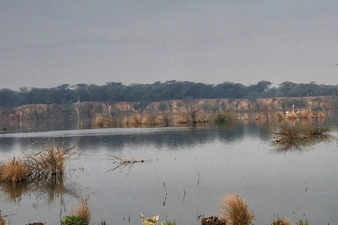 Jeep Safari to Kanota Lake From Jaipur - Booking Details