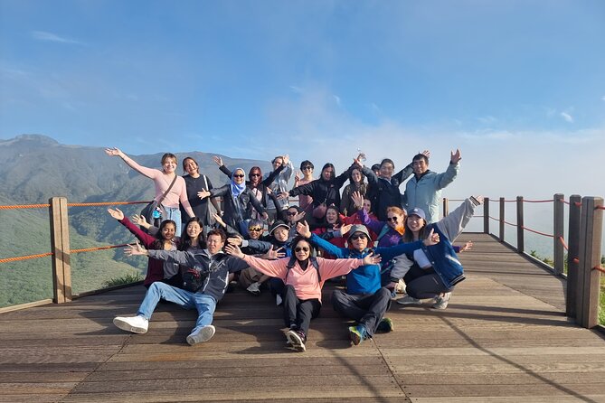 Jeju Island South UNESCO Group Tour - Group Size Limitations