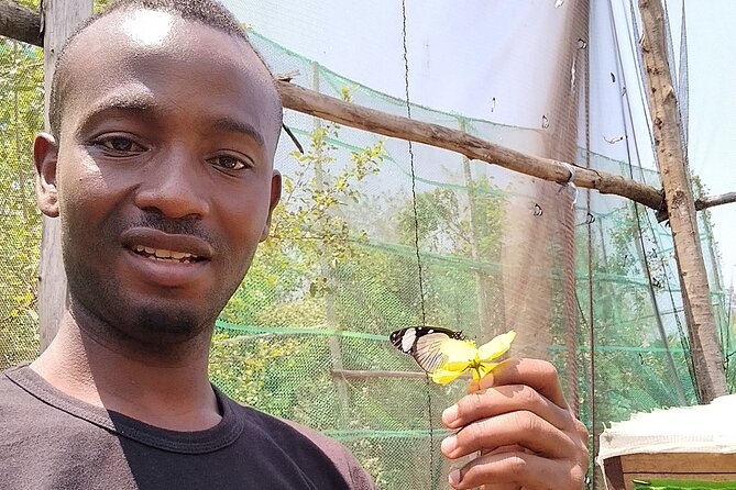 Jozani Forest and Butterfly Center Combined Tour - Directions