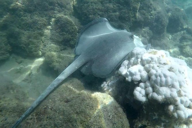 Jungle & Sea Mogos - Osa Peninsula - Location