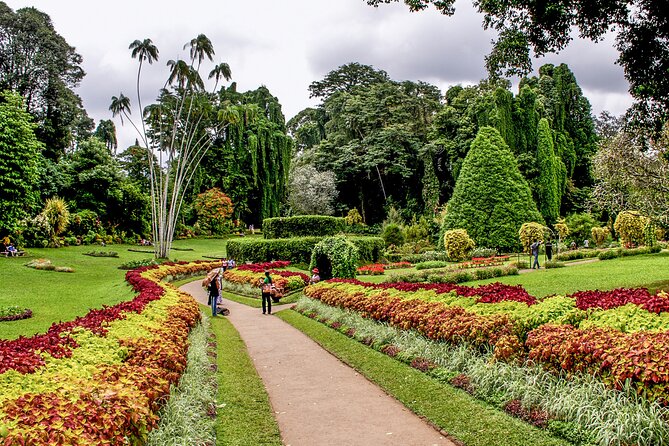 Kandy City Tuk Tuk Safari - Additional Info