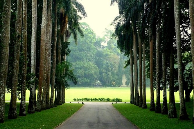 Kandy Day Tour - Tour Highlights