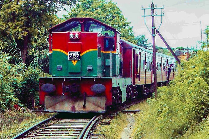 Kandy to Badulla Train Ride on (Train No: 1015 Udarata Menike) - Pricing and Booking