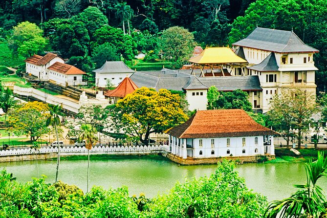 Kandy Transfer Visiting Dambulla Cave Temple and Herbal Garden - Timings and Operating Hours